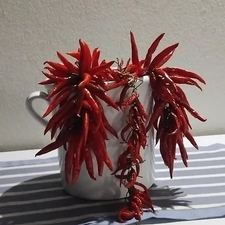 Leukos Relais Ecoretreat Отель типа 