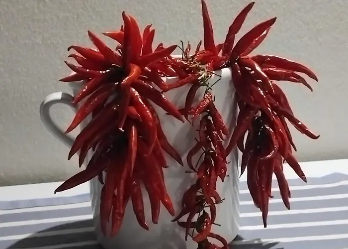 Leukos Relais Ecoretreat Alojamento de Acomodação e Pequeno-almoço 3*